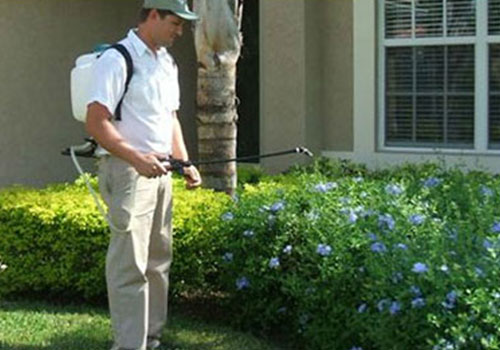 pest control noida 