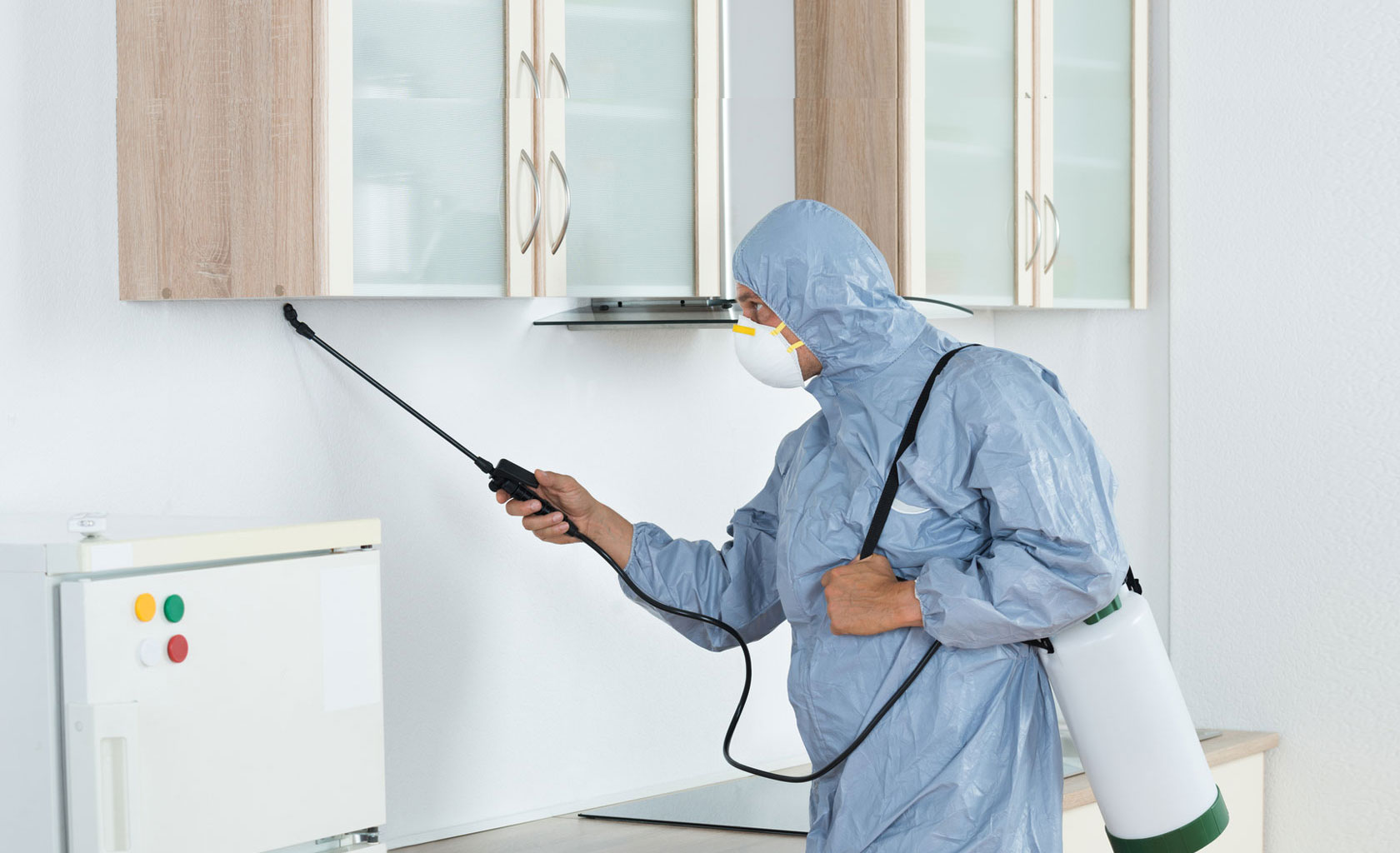 pest control services in delhi