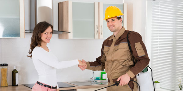 pest control noida 